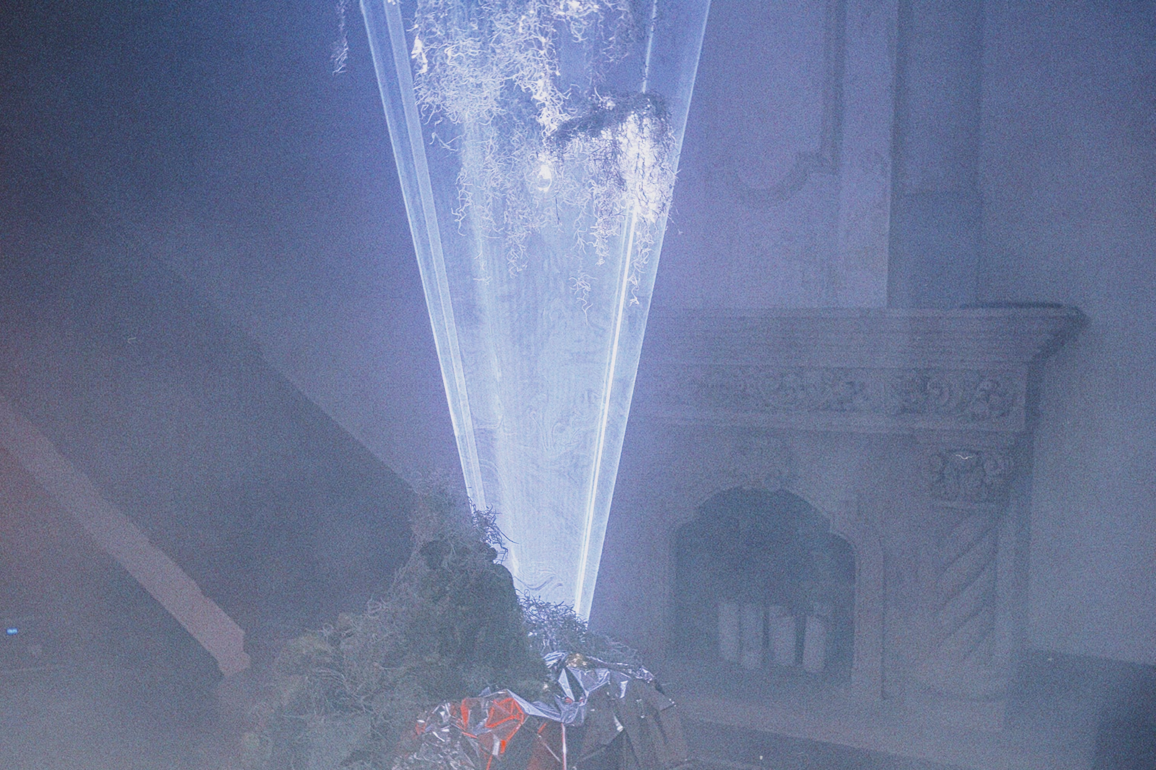 Conciencia compartida: 008 y el gesto íntimo de atravesar un portal