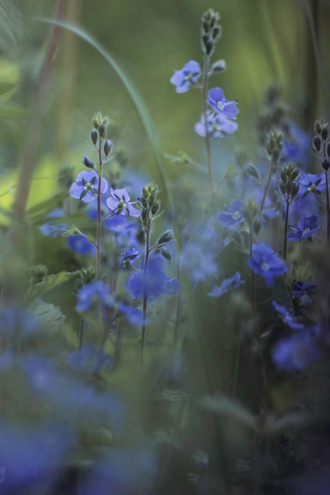 Los 7 floristas de lujo en México que debes conocer esta primavera